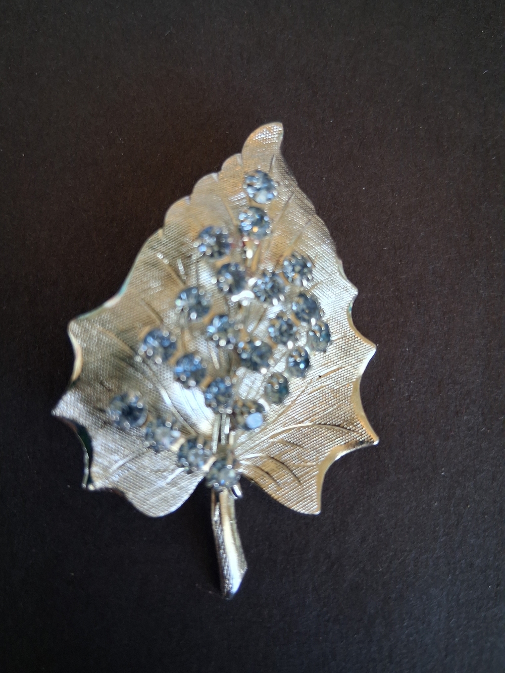 Silver-Tone Leaf Cluster Brooch with Blue Rhinestones - Women Jewelry